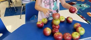 Waterman Students Work with Apples in STEM Lab